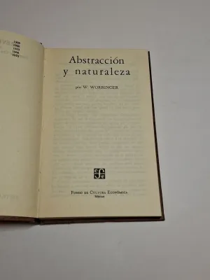 ABSTRACCION Y NATURALEZA